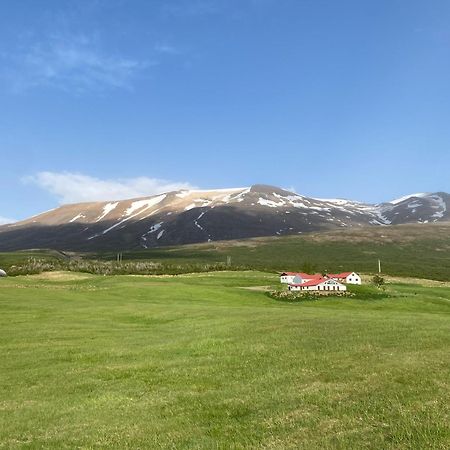 Litla-Sandfell Guesthouse Stora-Sandfell Eksteriør bilde